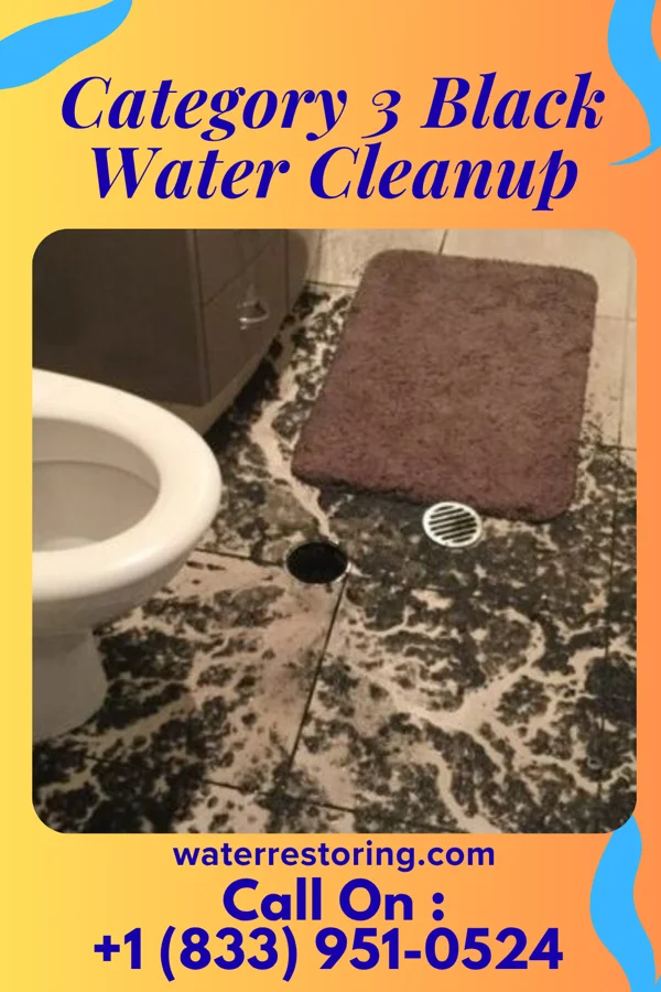 Category 3 Black Water Cleanup in Hardin, KY