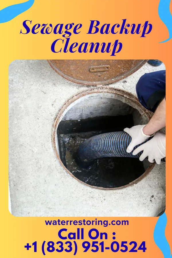 Sewage Backup Cleanup in Hardin, KY