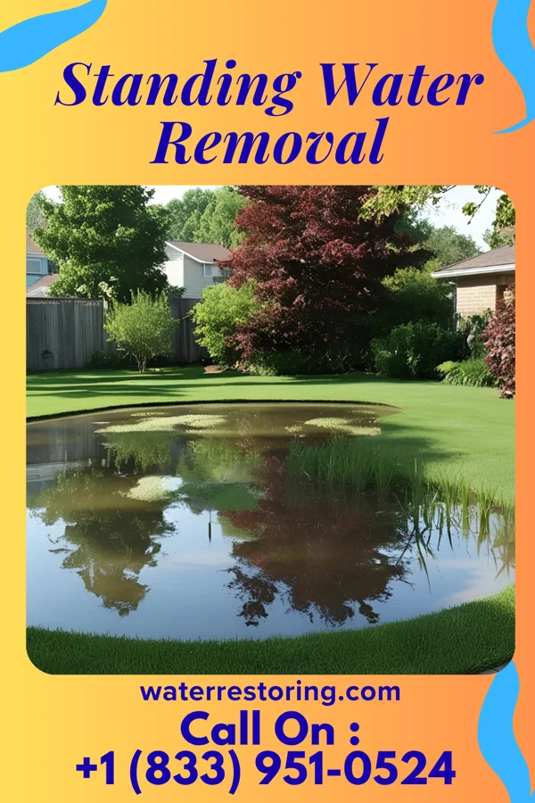 Standing Water Removal in Hardin, KY